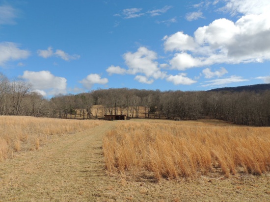 Stunning 35 Acres on Sinking Creek