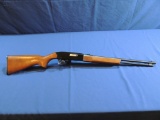 Winchester Model 190 22 Caliber