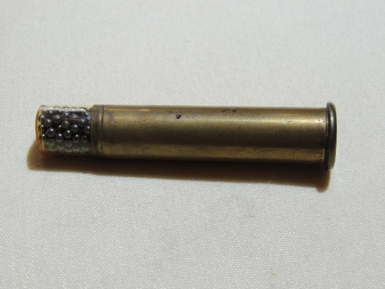 45-70 Shot Cartridge
