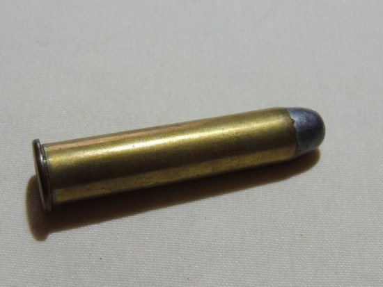 45 Government Cartridge