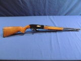 Winchester Model 190 22 L or LR
