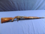 Remington Nylon 66 22 LR