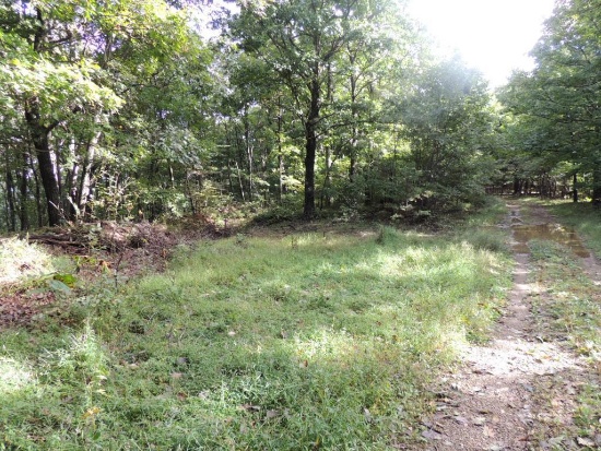 50 Acres on Poor Mountain Road