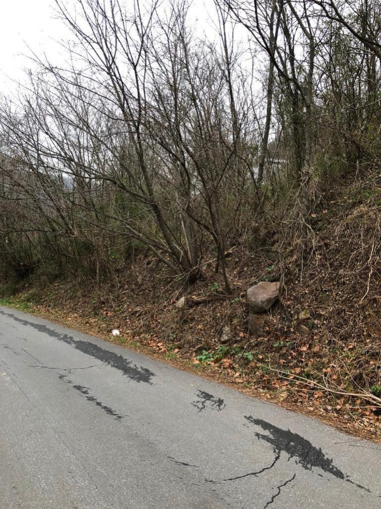 Giles County & Town of Narrows Tax Sale