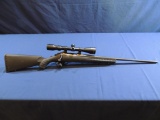 Ruger American 308 Win