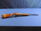 Winchester Model 77 22 LR