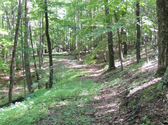 24 Acres of Recreational Land with Home Sites