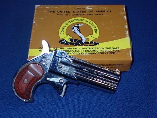 Cobra Model CLB38 38 Special