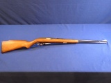 Marlin Model 60 22 LR