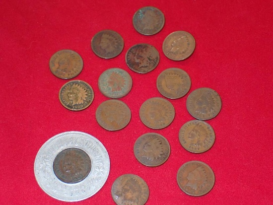 Sixteen Indian Head Pennies