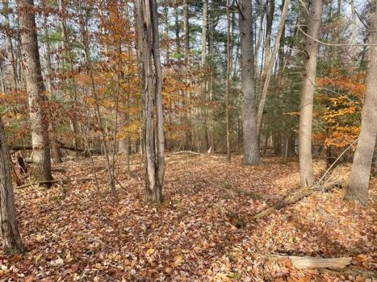 Building Lot Near Smith Mountain Lake Hardy, VA