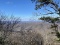 73 Acres Wooded Recreational Land