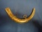 Decorative Brass Powder Horn