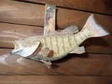 Taxidermy Small Mouth Bass Fish Mount