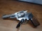 Ruger SP101 22 Caliber Revolver