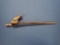 US 1873 Trapdoor Bayonet