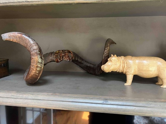 Set of Big Horn Sheep Horns / Wood Hippo