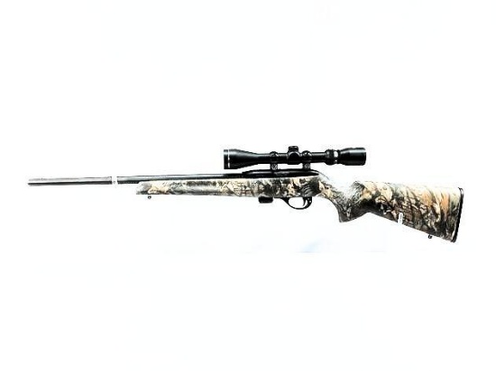 Remington Model 597, .22 LR Caliber Rifle