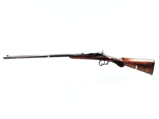 .22 Caliber Flobert Rifle