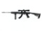 Ruger 10/22, .22LR Caliber Rifle, 50 Year Commemorative Edition