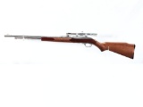 Marlin Stainless Model 60 SB, .22LR Caliber Rifle