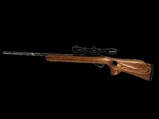 Ruger Model 10/22, 22 Caliber Rifle with Scope