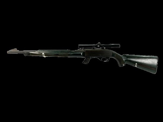 Remington Apache 77, 22 Caliber Rifle with Scope