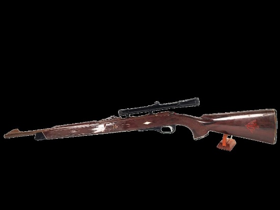Remington Nylon 10, 22 Caliber Rifle with Bushnell Scope