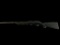 New Savage Model A22, 22 Caliber Rifle