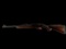 New Rossi Model RS22, 22 Caliber Semi-Auto Rifle