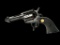 New Chiappa 22-10, 22 Caliber Revolver