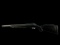 New Ruger Model American, 17 HMR Caliber Rifle