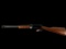 New Rossi Gallery Model, 22 WMR Caliber Rifle