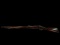 Black Powder 1884 Muzzle Loader