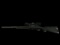 Remington Model 783, 243 Caliber Rifle with Scope