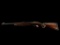 New Rossi Model RS22, 22 Caliber Semi-Auto Rifle