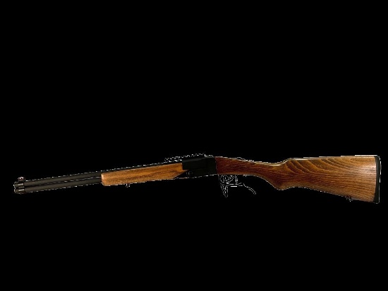 New Chiappa Double Badger Combination 410/22LR