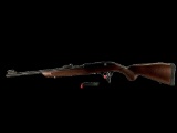 New Rossi Model RS22, 22 Caliber Semi-Auto Rifle