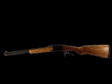 New Chiappa Double Badger Combination 410/22LR