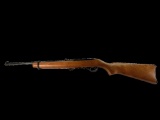 New Ruger Model 10/22, 22 Caliber Rifle