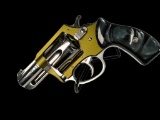 New Charter Arms Undercover II, 38 Special Caliber Revolver