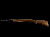 New Savage Model 93G, 22 WMR Caliber Rifle