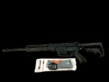 Del Ton DTI-15, 5.56 Caliber Rifle