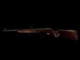 New Rossi Model RB22, 22 Caliber Rifle