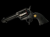 New Chiappa 22-10, 22 Caliber Revolver
