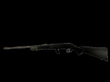 Savage Model 64, 22 Caliber Rifle