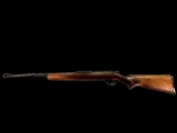 Glenfield Model 10, 22 Caliber Rifle