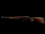 New Rossi Model RB22, 22 Caliber Rifle