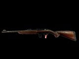 New Rossi Model RS22, 22 Caliber Semi-Auto Rifle
