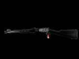 New Rossi Model Gallery 22, 22LR Caliber Pump Action Rifle